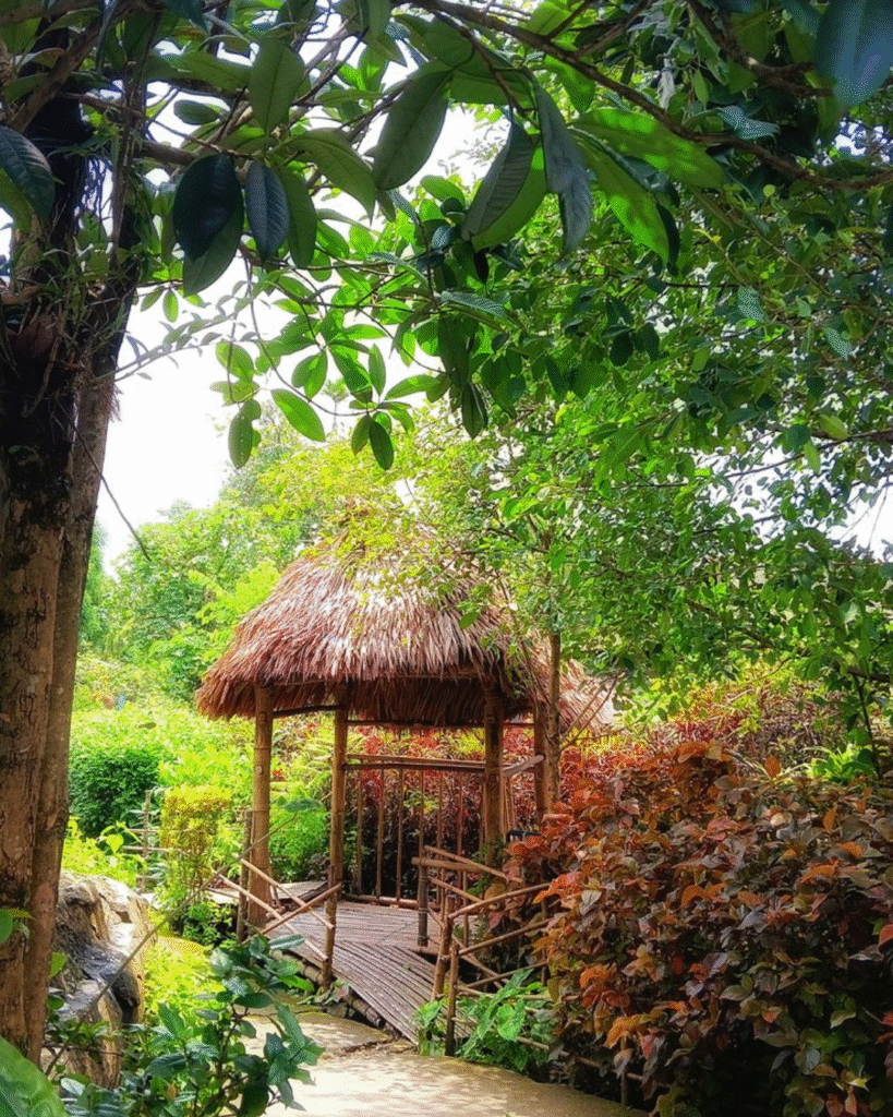 Mawlynnong Village attraction in meghalaya