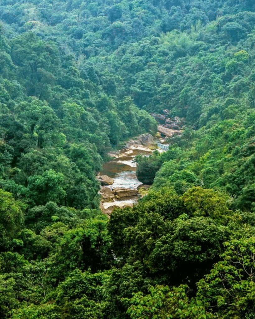 Balpakram National Park